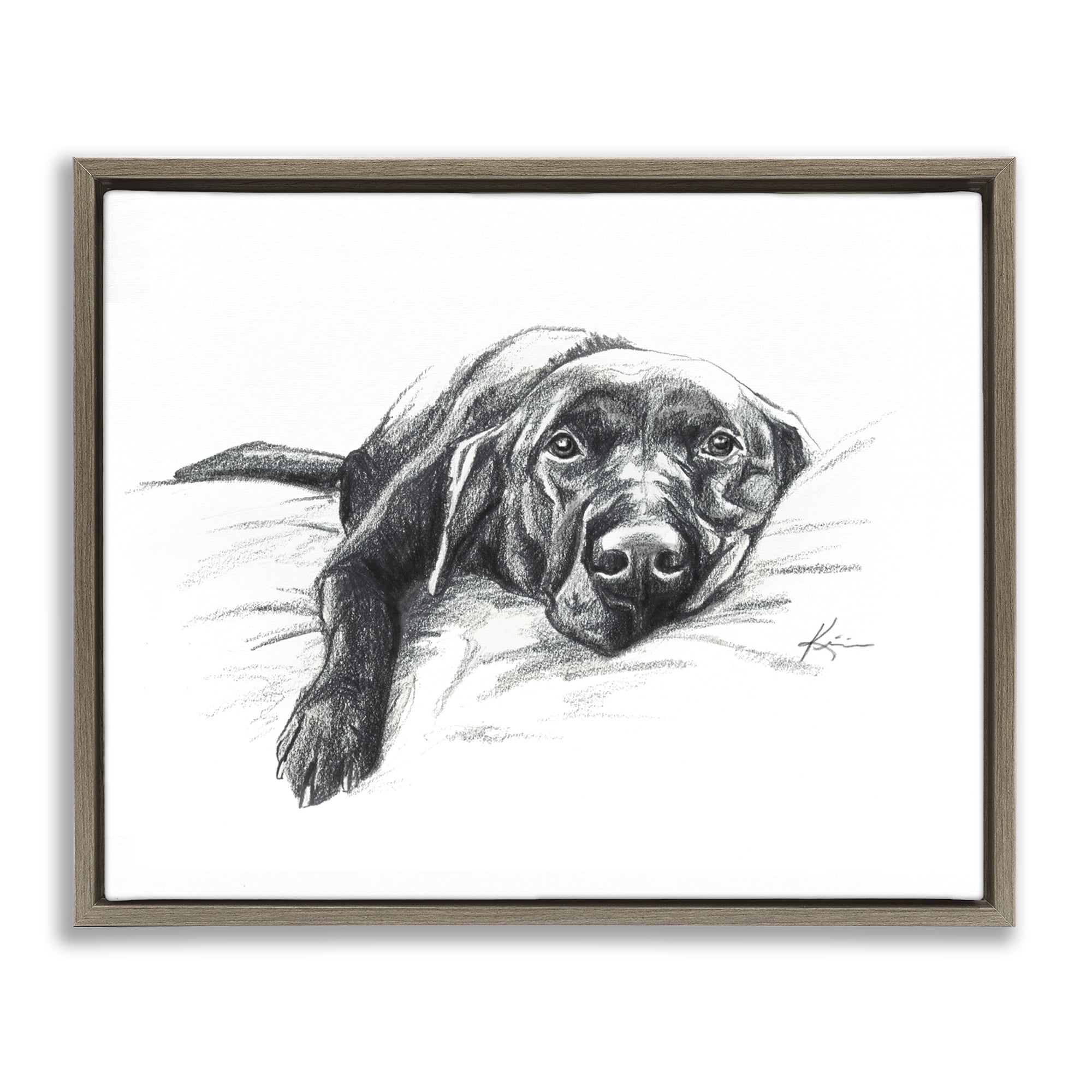 Stupell Industries Naptime Black Labrador Animals Drawing Brown Floater Framed Canvas Art Print Wall Art, 31 x 25