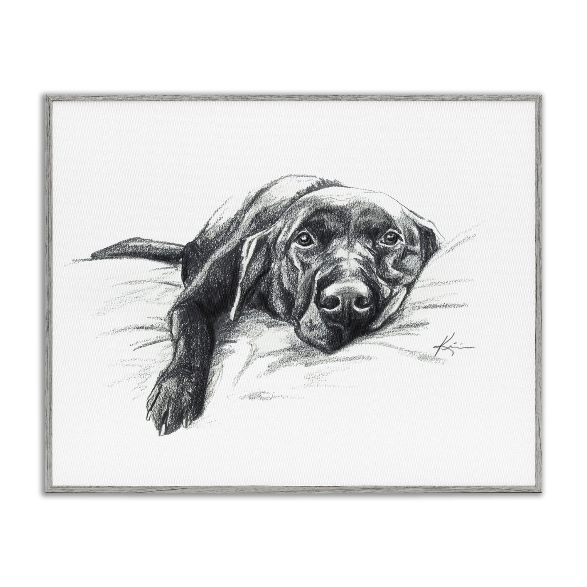 Stupell Industries Naptime Black Labrador Animals Drawing Gray Framed Art Print Wall Art, 14 x 11