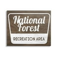 thumbnail image 1 of Stupell Industries National Forest Recreation Rustic Grain Pattern Sign, 40 x 30, Design by Lil' Rue, 1 of 5