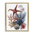 thumbnail image 1 of Stupell Industries Traditional Natural Aquatic Sea Creatures Gold Floating Frame Canvas Art, 17 x 21, by Ramona Murdock, 1 of 7