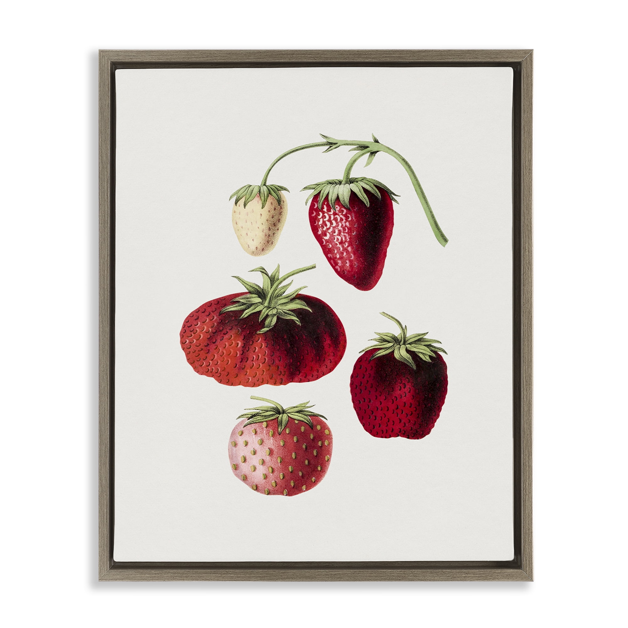 Stupell Industries Natural Berries Study Food & Beverage Painting Brown Floater Framed Art Print Wall Art, 17 x 21