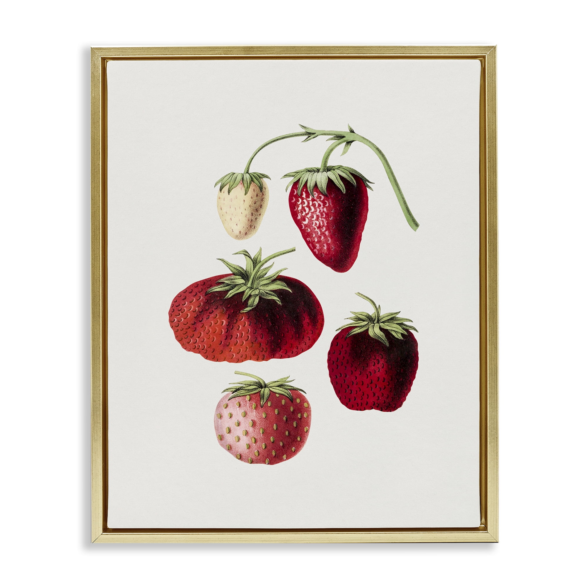 Stupell Industries Natural Berries Study Food & Beverage Painting Gold Floater Framed Art Print Wall Art, 17 x 21