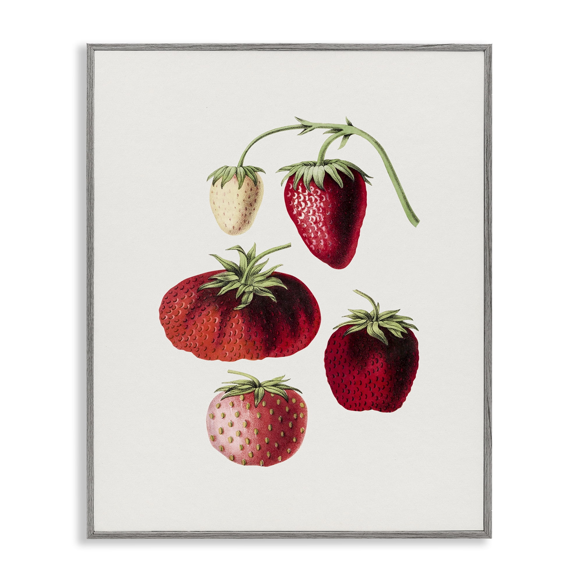 Stupell Industries Natural Berries Study Food & Beverage Painting Gray Framed Art Print Wall Art, 11 x 14
