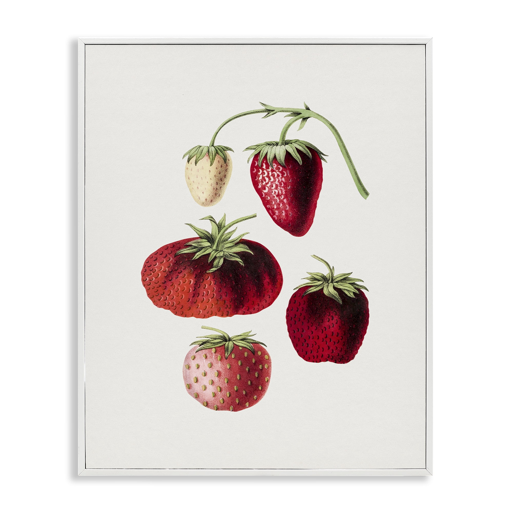 Stupell Industries Natural Berries Study Food & Beverage Painting White Framed Art Print Wall Art, 11 x 14