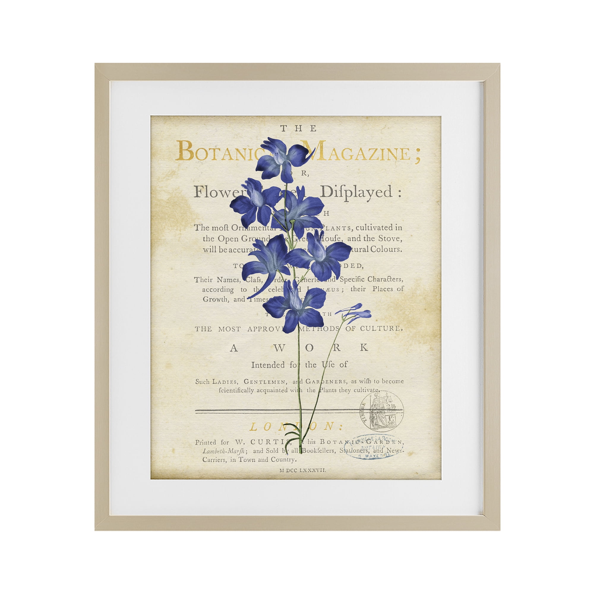 Stupell Industries Natural Botanic Garden Flower Birch Framed Print Under Glass, design by Susan Arnot