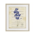 thumbnail image 1 of Stupell Industries Shabby Chic Natural Botanic Garden Flower Birch Framed Print Under Glass, 13 x 16, by Susan Arnot, 1 of 8