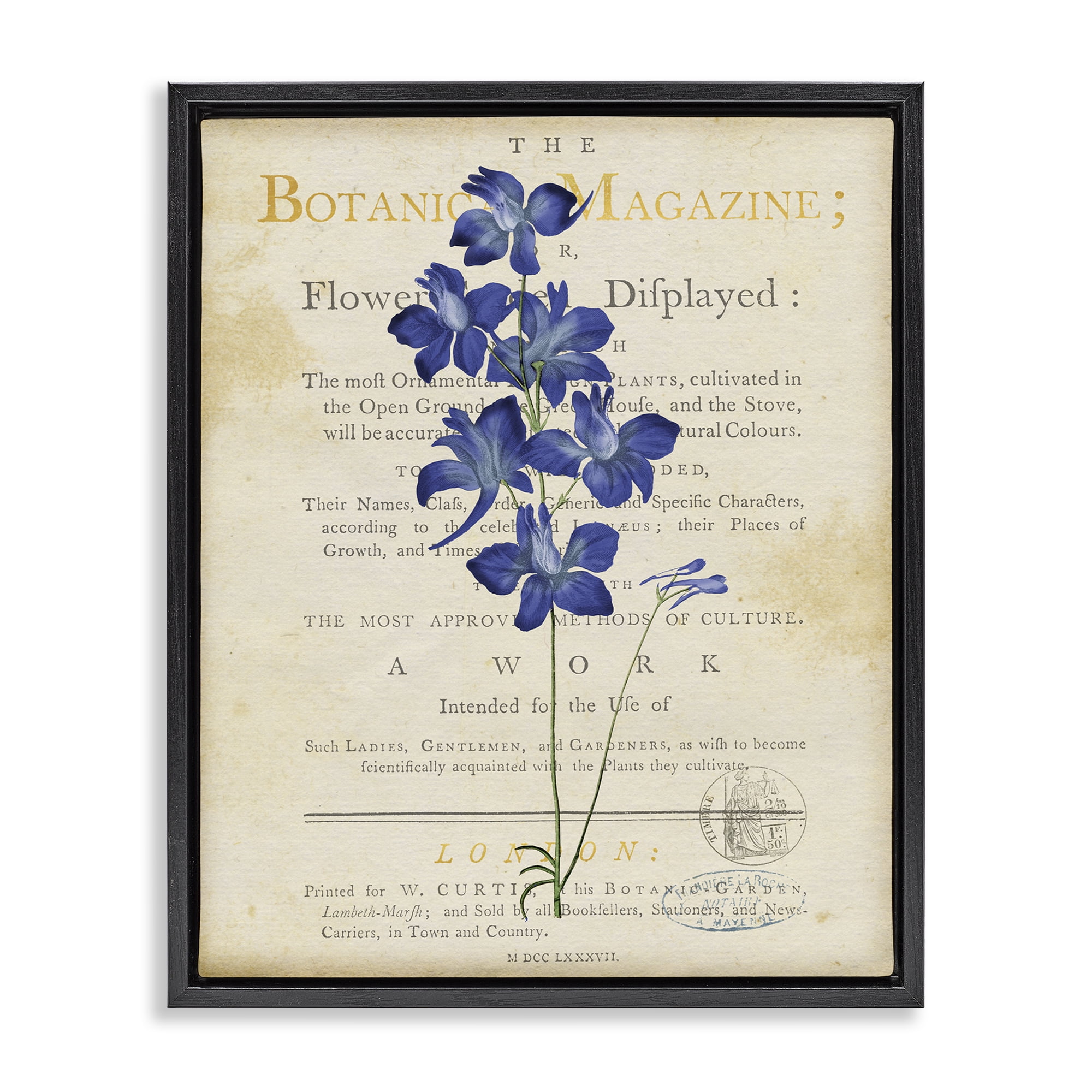 Stupell Industries Natural Botanic Garden Flower Black Framed Floater Canvas Wall Art, design by Susan Arnot