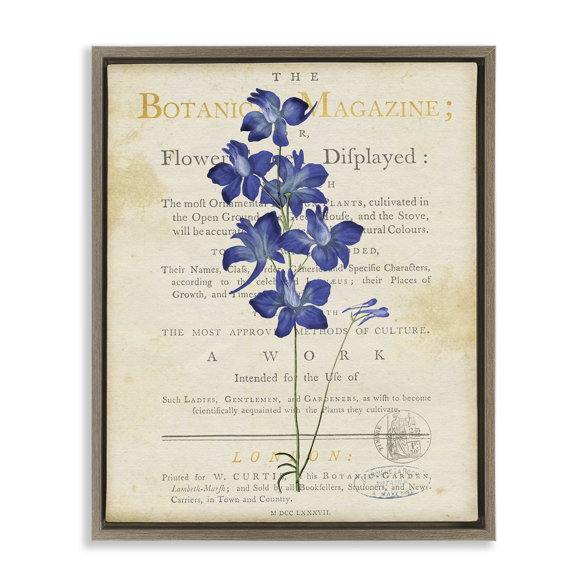 Stupell Industries Natural Botanic Garden Flower Brown Framed Floater Canvas Wall Art, design by Susan Arnot