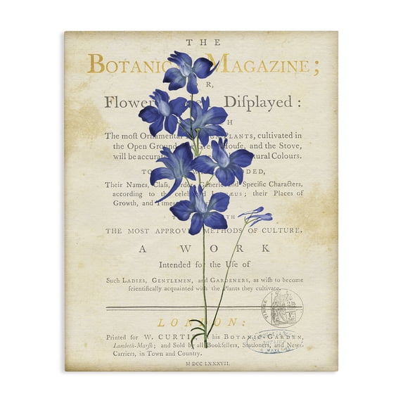 Stupell Industries Shabby Chic Natural Botanic Garden Flower Canvas Art, 36 x 48, by Susan Arnot