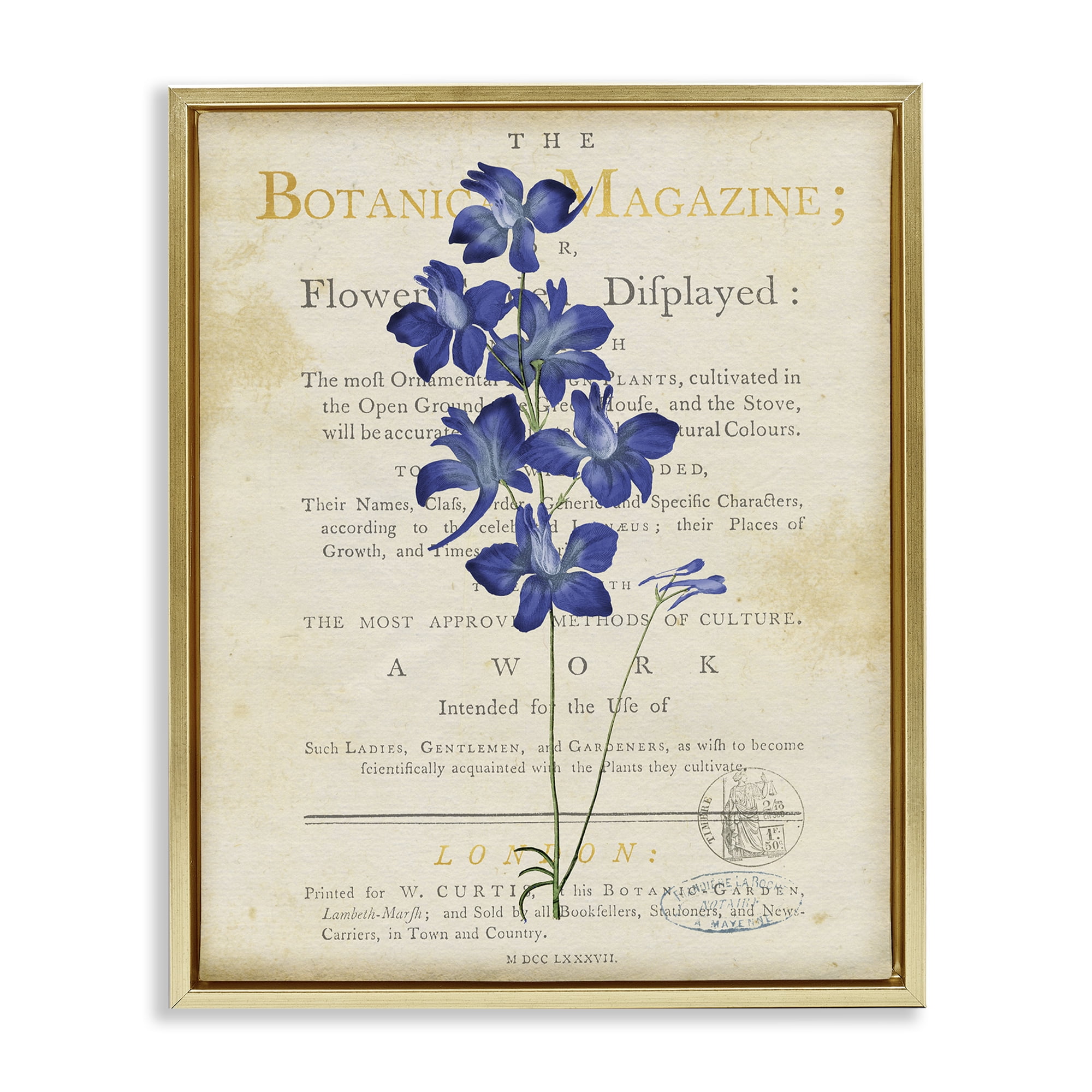 Stupell Industries Natural Botanic Garden Flower Gold Framed Floater Canvas Wall Art, design by Susan Arnot