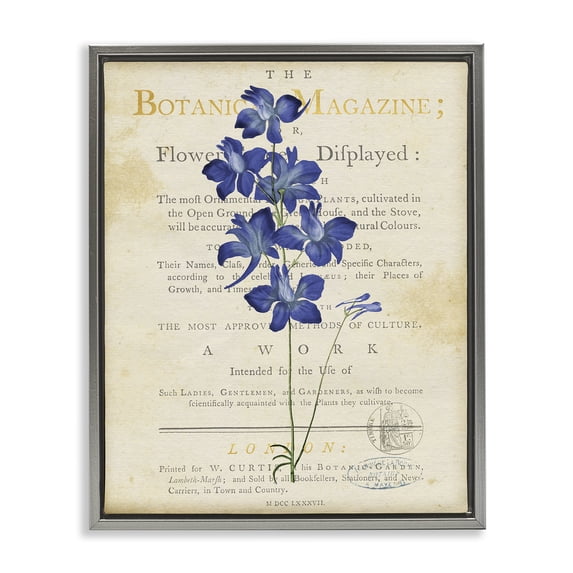 Stupell Industries Shabby Chic Natural Botanic Garden Flower Gray Floating Frame Canvas Art, 17 x 21, by Susan Arnot