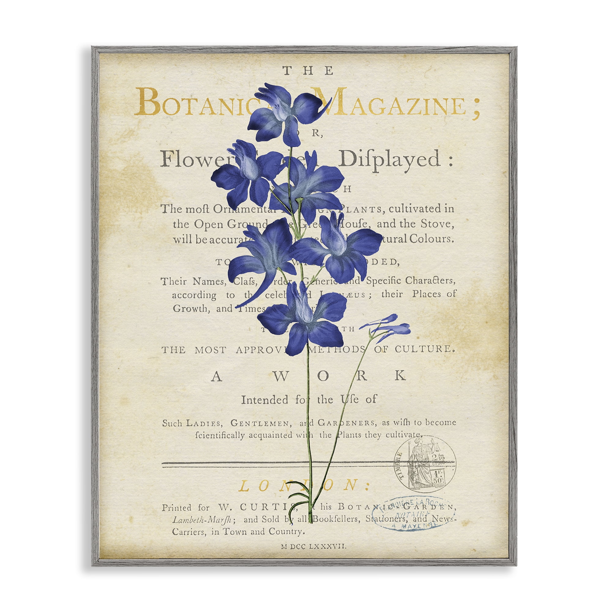 Stupell Industries Natural Botanic Garden Flower Gray Framed Giclee Art, design by Susan Arnot