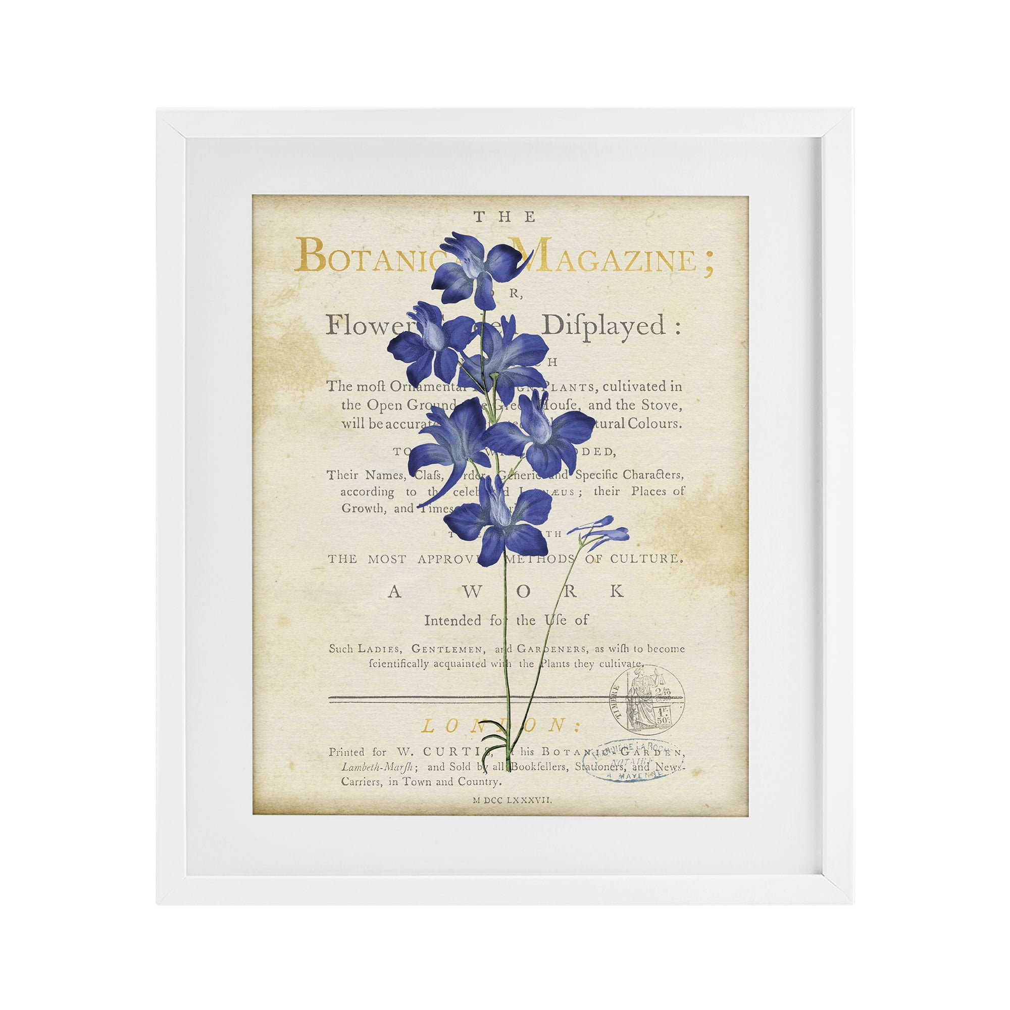 Stupell Industries Natural Botanic Garden Flower White Framed Print Under Glass, design by Susan Arnot