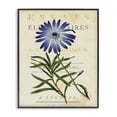 thumbnail image 1 of Stupell Industries Shabby Chic Natural Botany Daisy Black Framed Giclee Art, 11 x 14, by Susan Arnot, 1 of 8