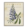 thumbnail image 1 of Stupell Industries Cottage Natural Botany Lupine Gray Framed Giclee Art, 11 x 14, by Susan Arnot, 1 of 8