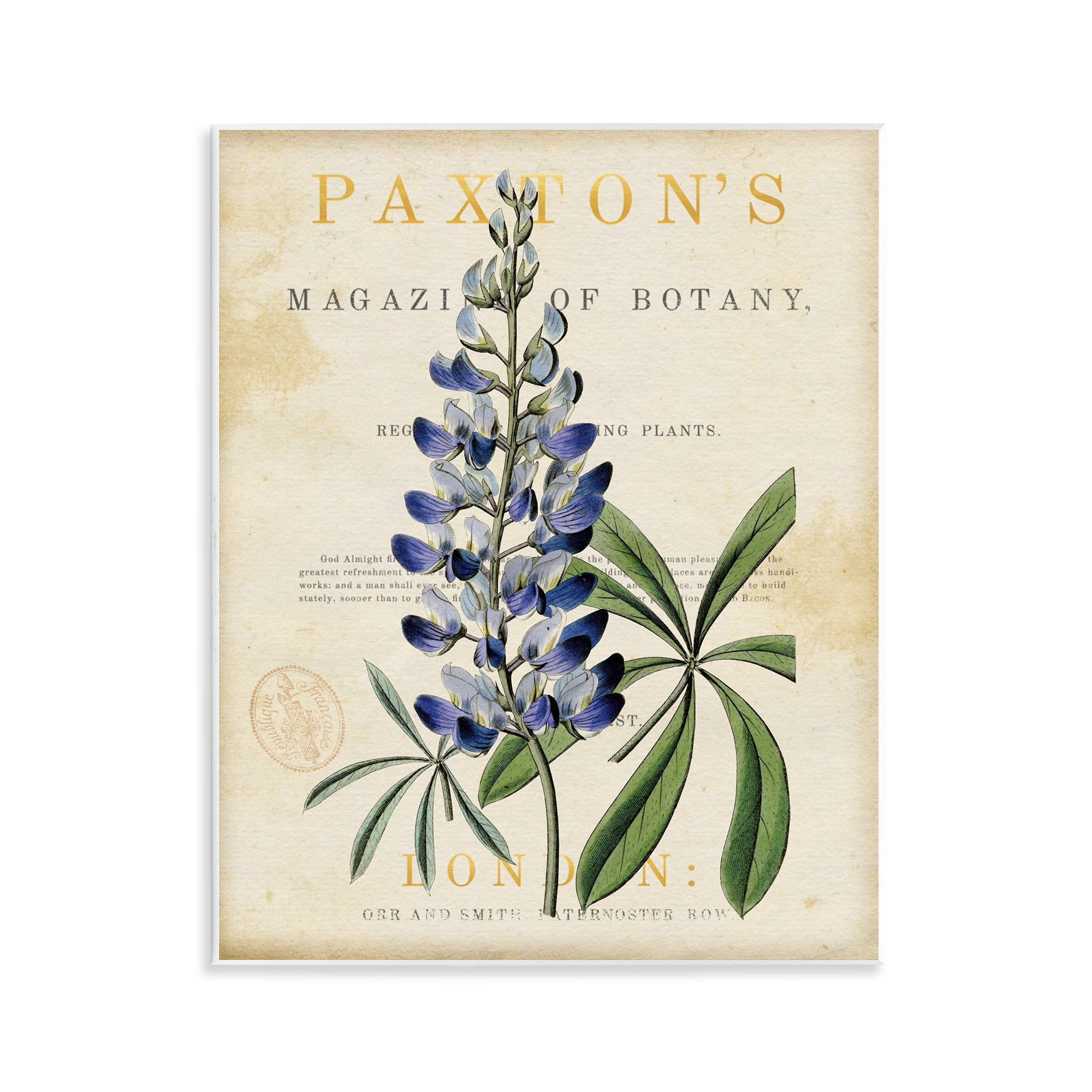 Stupell Industries Natural Botany Lupine Wall Plaque Art, design by Susan Arnot