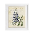 thumbnail image 1 of Stupell Industries Cottage Natural Botany Lupine White Framed Print Under Glass, 17 x 21, by Susan Arnot, 1 of 8