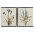thumbnail image 1 of Stupell Industries Natural Budding Blooms Floral Painting Black Framed Art Print Wall Art, 11 x 14, Set of 2, 1 of 8