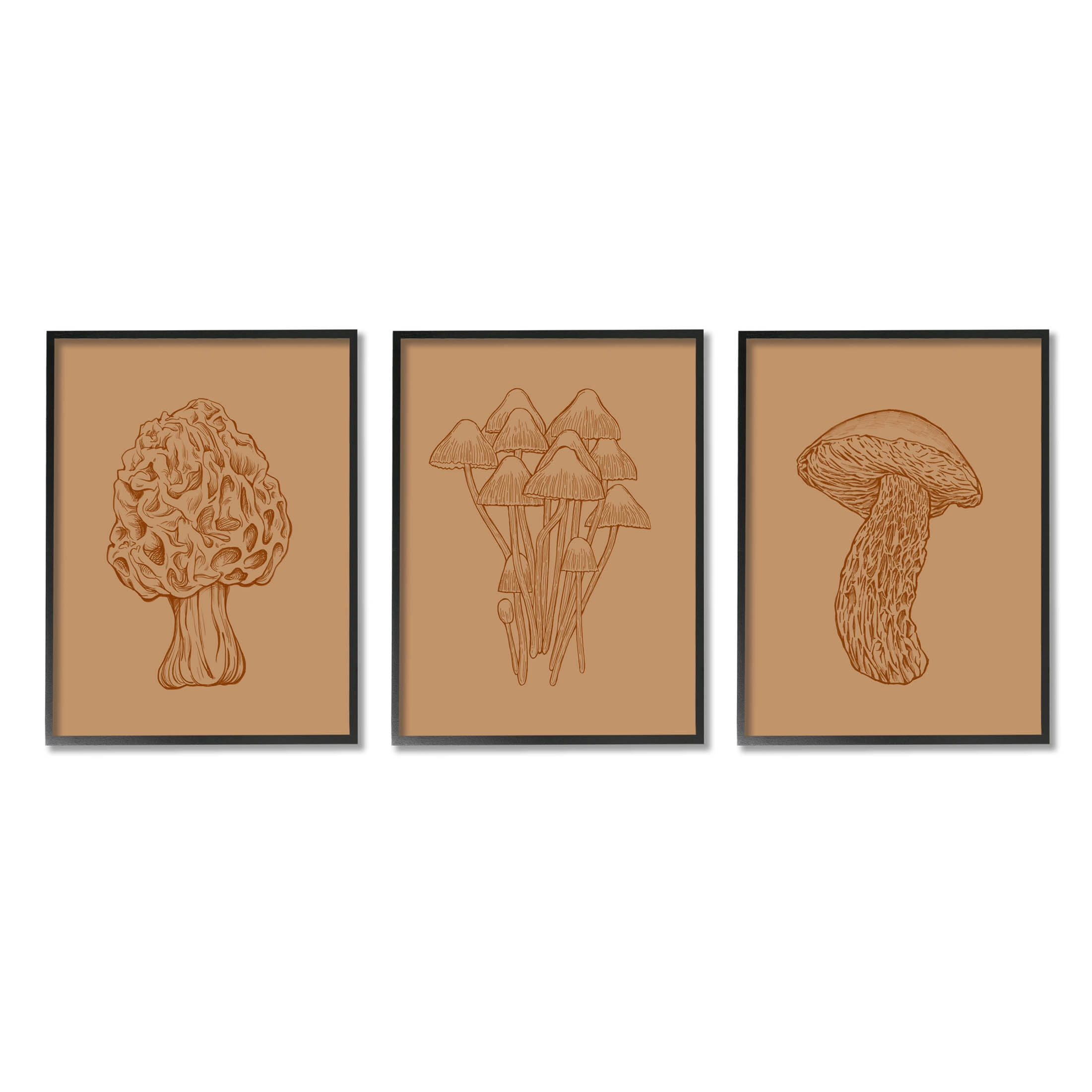 Stupell Industries Natural Cottage Mushroom Botanicals Graphic Art Black Framed Art Print Wall Art, Set of 3, Design by Ziwei Li
