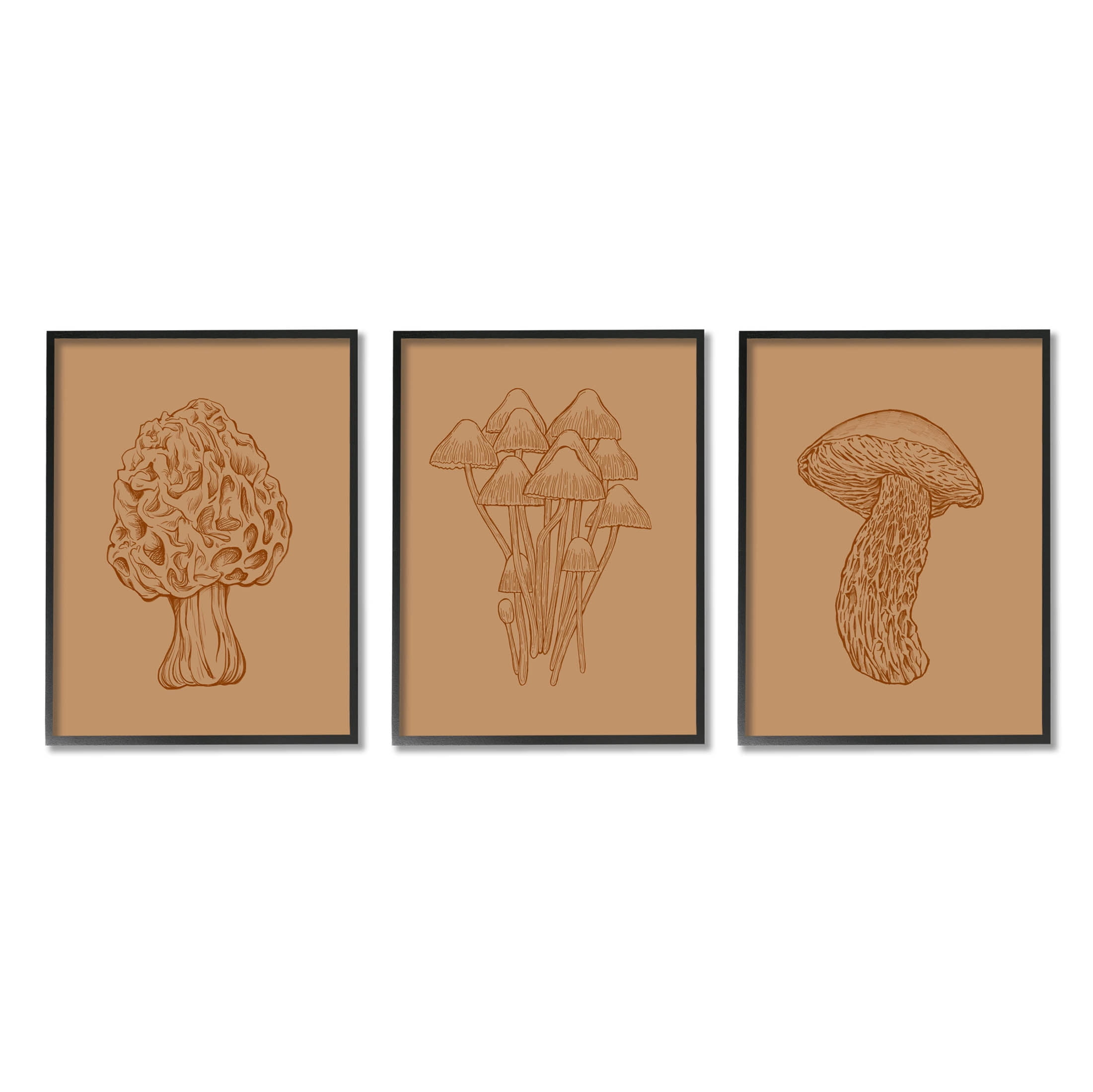 Stupell Industries Natural Cottage Mushroom Botanicals Graphic Art Black Framed Art Print Wall Art, Set of 3, Design by Ziwei Li