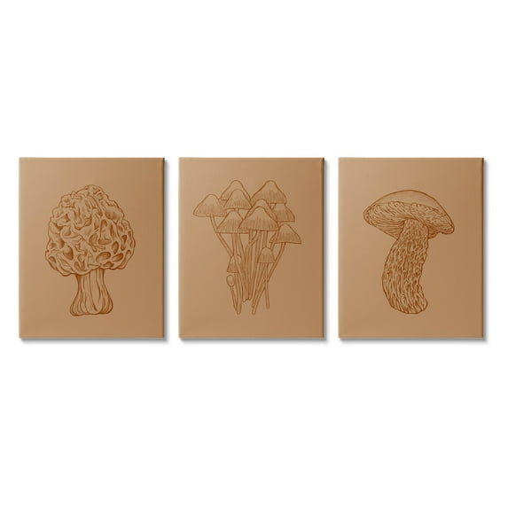 Stupell Industries Natural Cottage Mushroom Botanicals Graphic Art Gallery Wrapped Canvas Print Wall Art, Set of 3, Design by Ziwei Li
