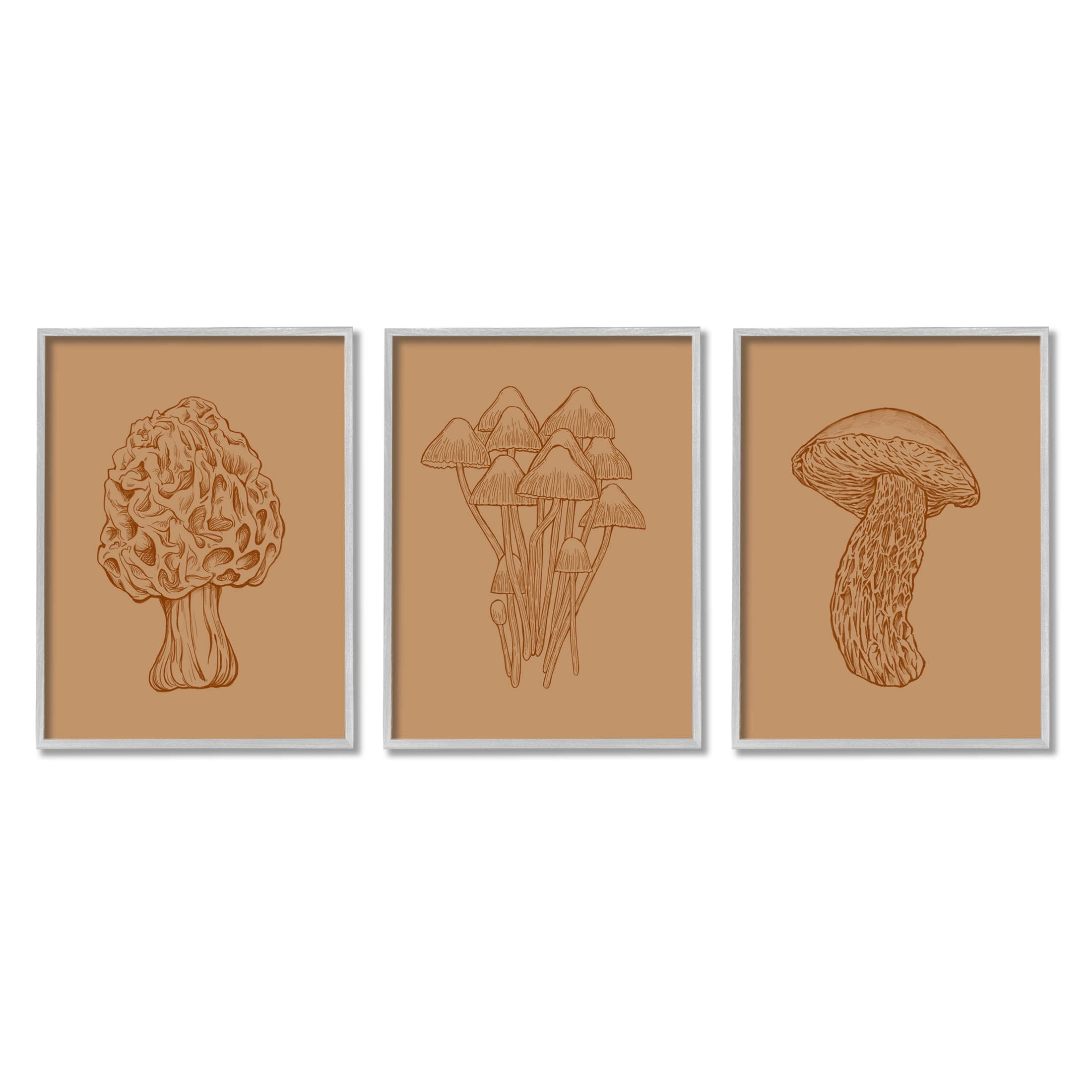 Stupell Industries Natural Cottage Mushroom Botanicals Graphic Art Gray Framed Art Print Wall Art, Set of 3, Design by Ziwei Li
