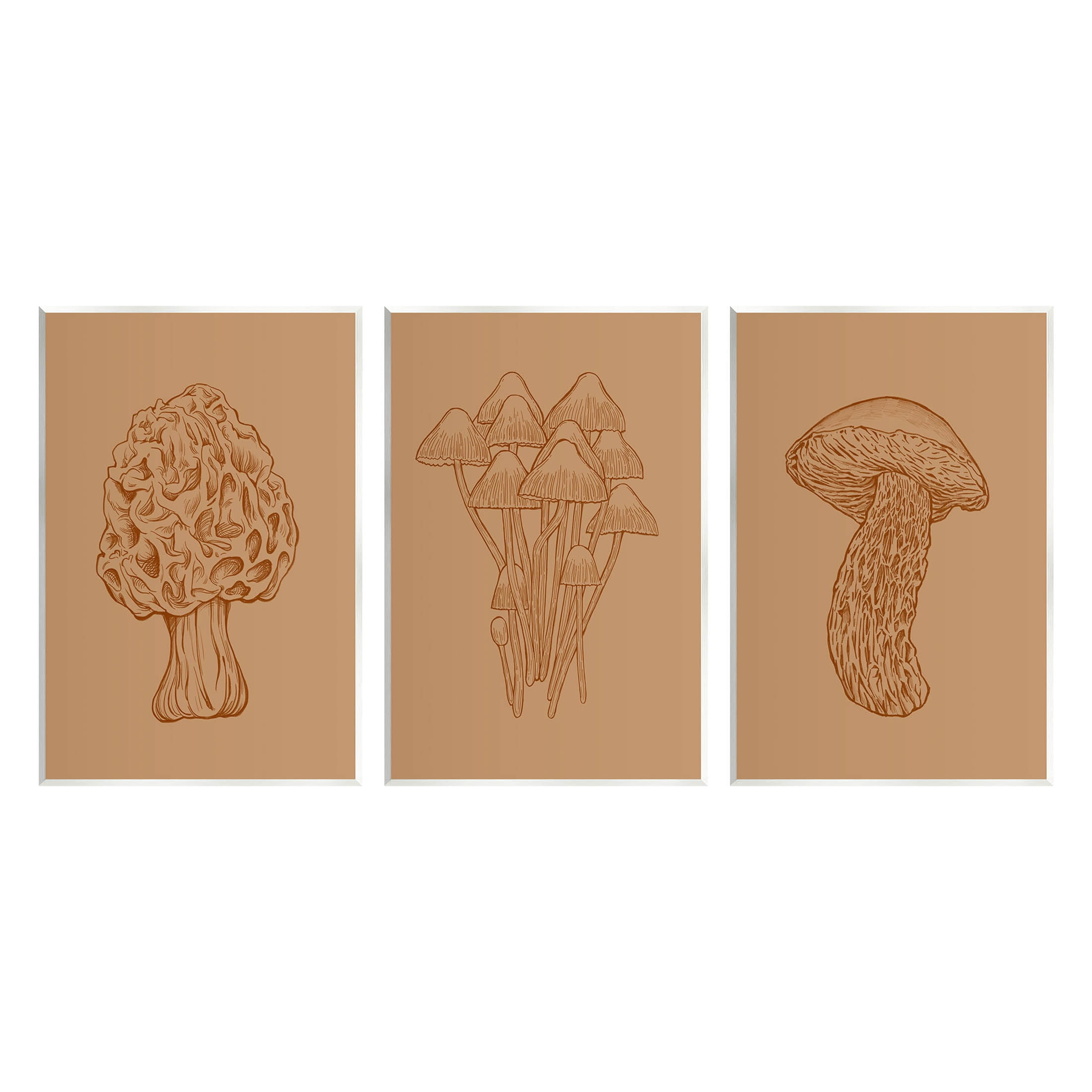 Stupell Industries Natural Cottage Mushroom Botanicals Graphic Art Unframed Art Print Wall Art, Set of 3, Design by Ziwei Li