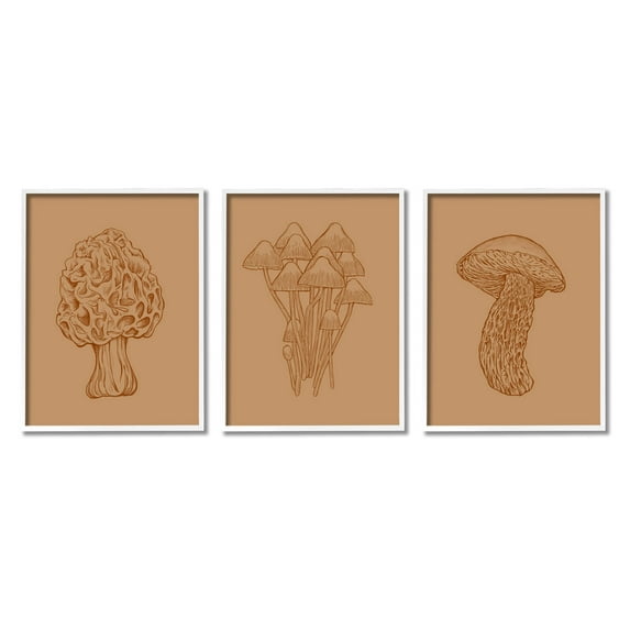 Stupell Industries Natural Cottage Mushroom Botanicals Graphic Art White Framed Art Print Wall Art, Set of 3, Design by Ziwei Li
