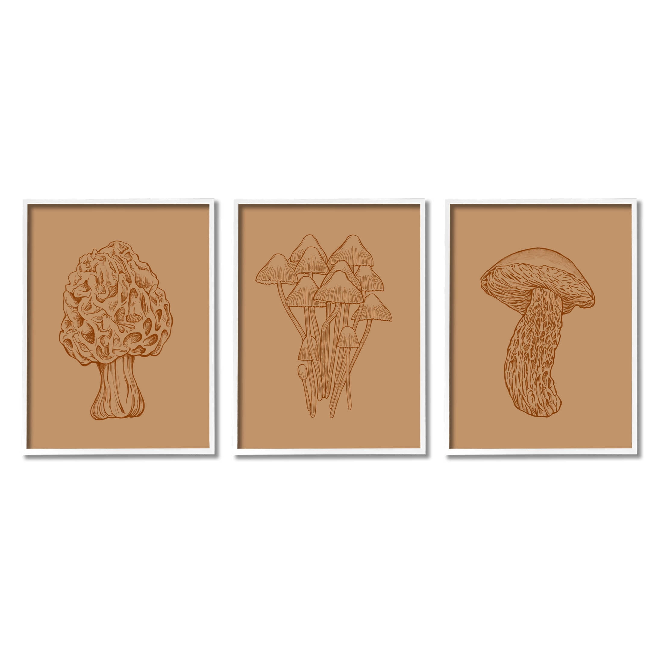 Stupell Industries Natural Cottage Mushroom Botanicals Graphic Art White Framed Art Print Wall Art, Set of 3, Design by Ziwei Li