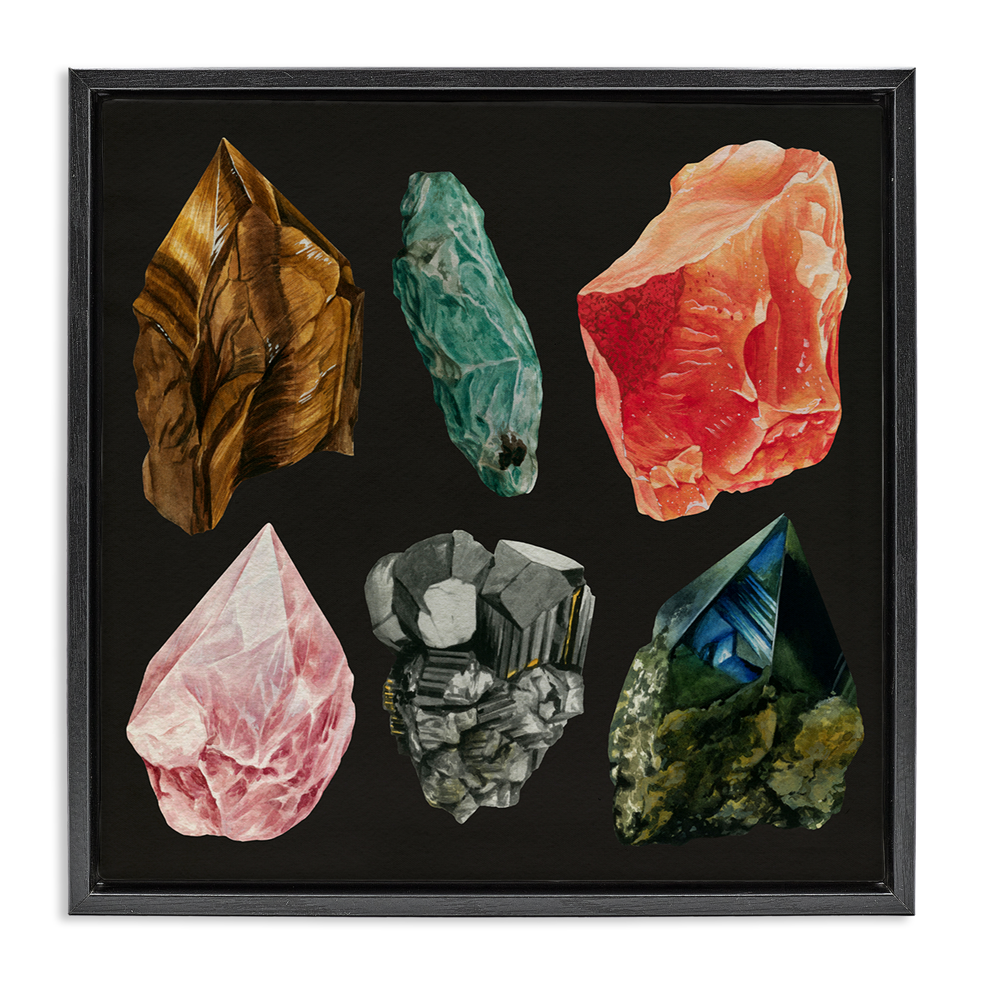 Stupell Industries Natural Crystal Gems STEM Painting Black Floater Framed Canvas Art Print Wall Art, 25 x 25