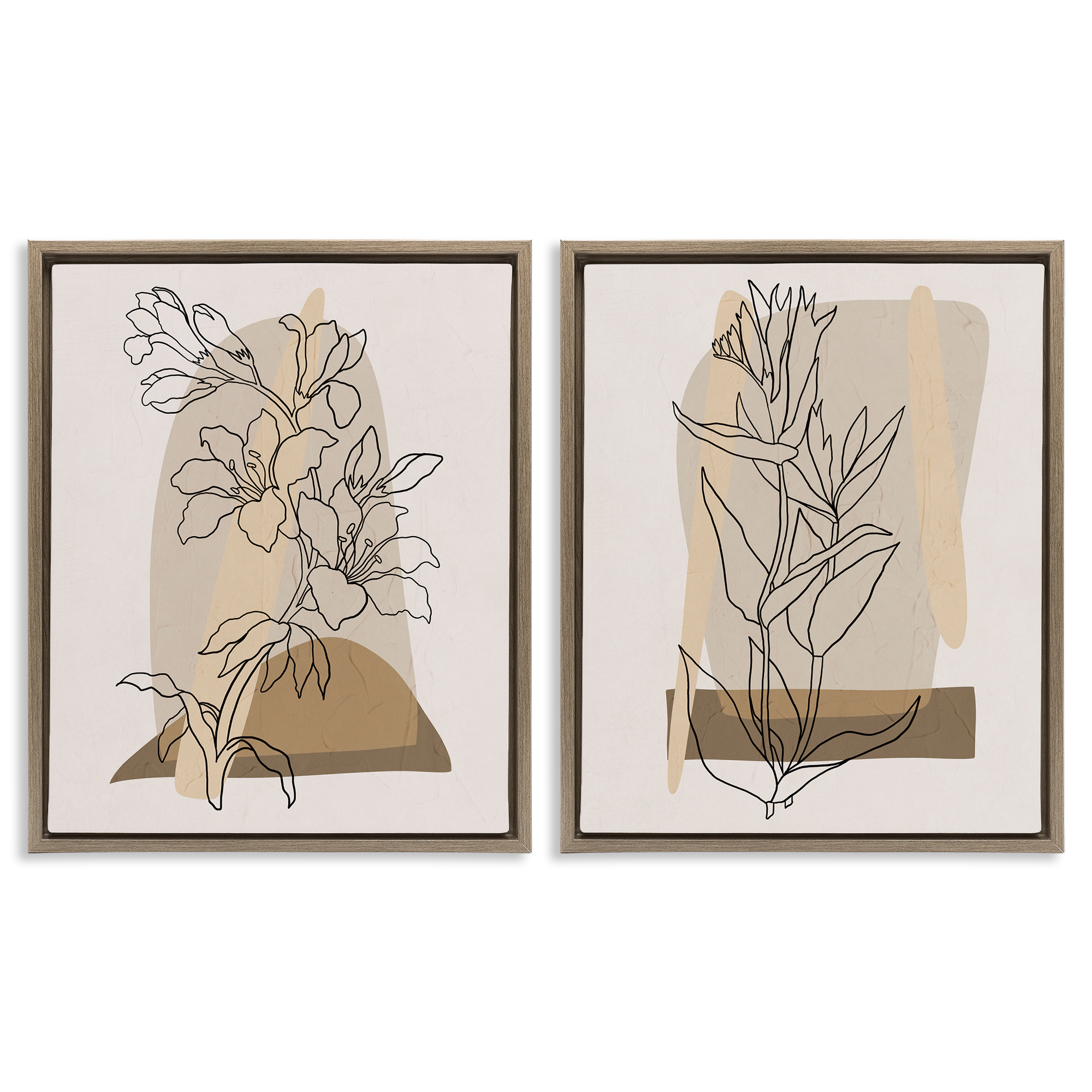 Stupell Industries Natural Flower Outlines Plants & Flowers Painting Brown Floater Framed Canvas Art Print Wall Art, 31 x 25, Set of 2