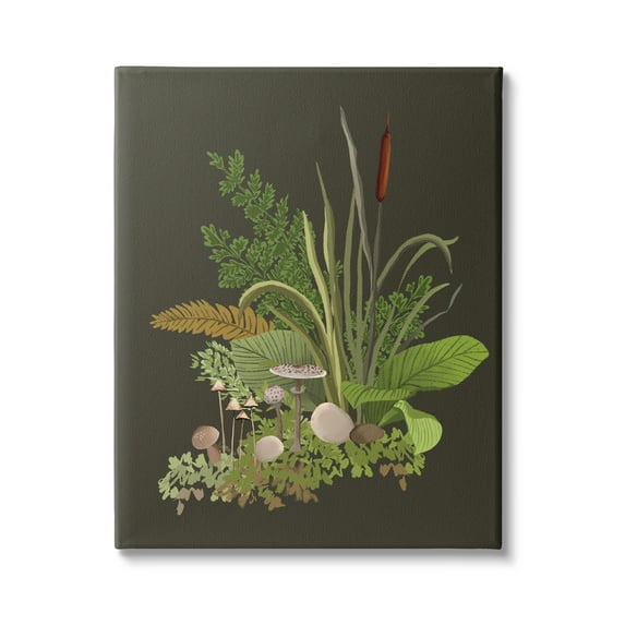 Stupell Industries Natural Forest Floor Botanical Arrangement Mixed Mushrooms Ferns Graphic Art Gallery Wrapped Canvas Print Wall Art, Design by House of Rose