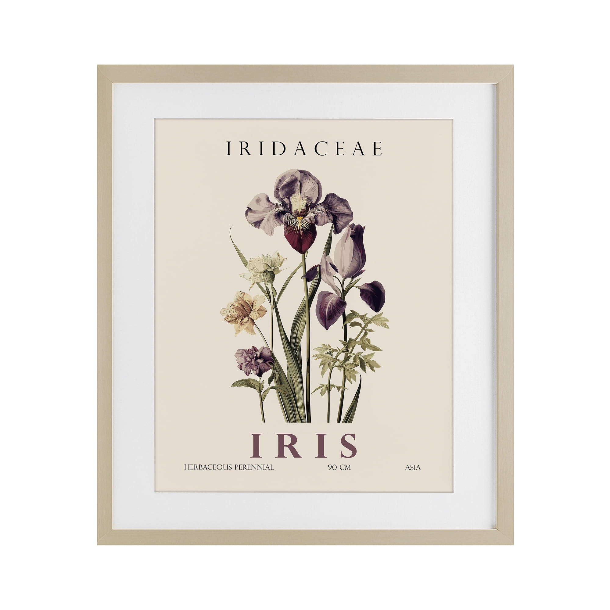 Stupell Industries Natural Iris Bundle Birch Framed Print Under Glass, design by Christopher Giampietro