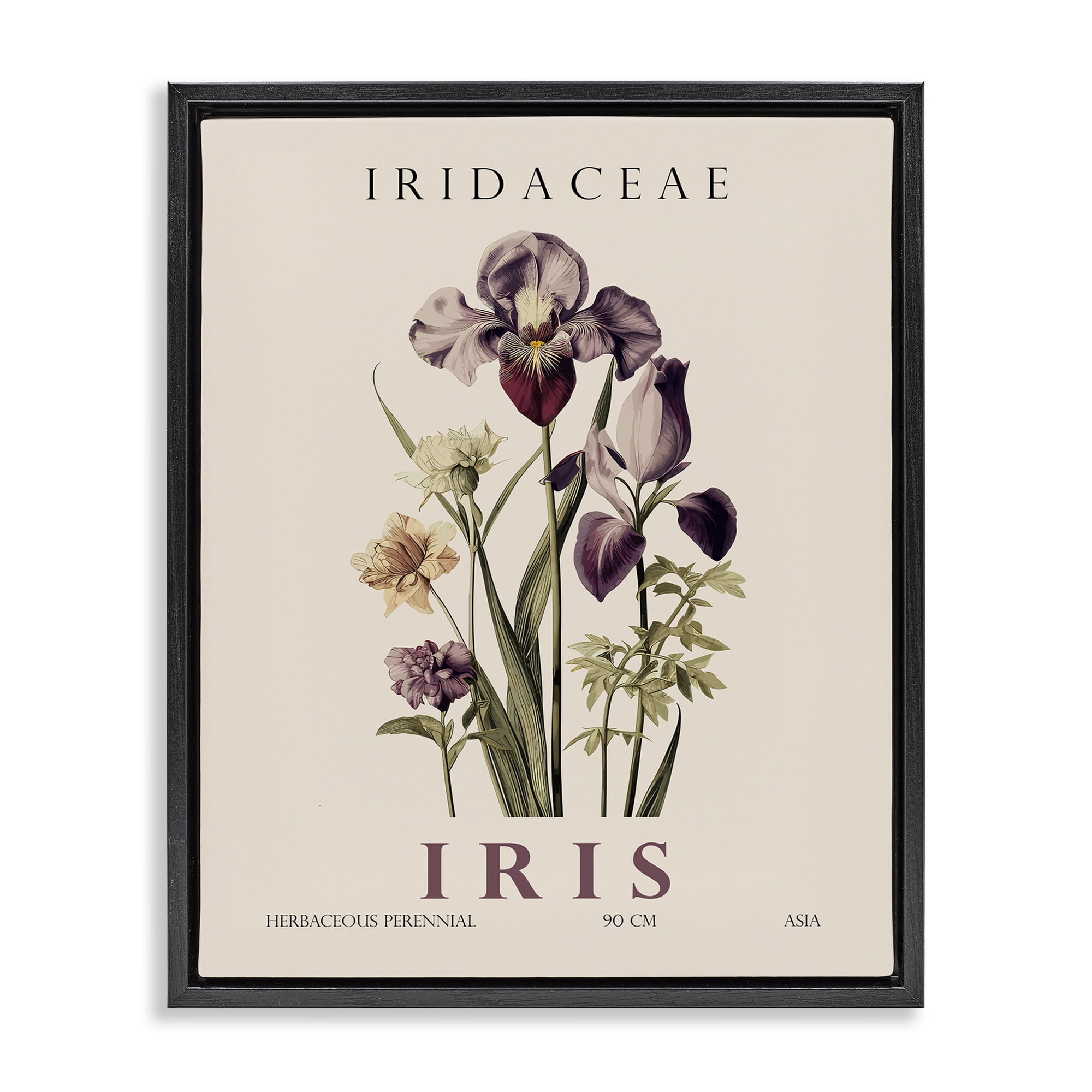 Stupell Industries Natural Iris Bundle Black Framed Floater Canvas Wall Art, design by Christopher Giampietro