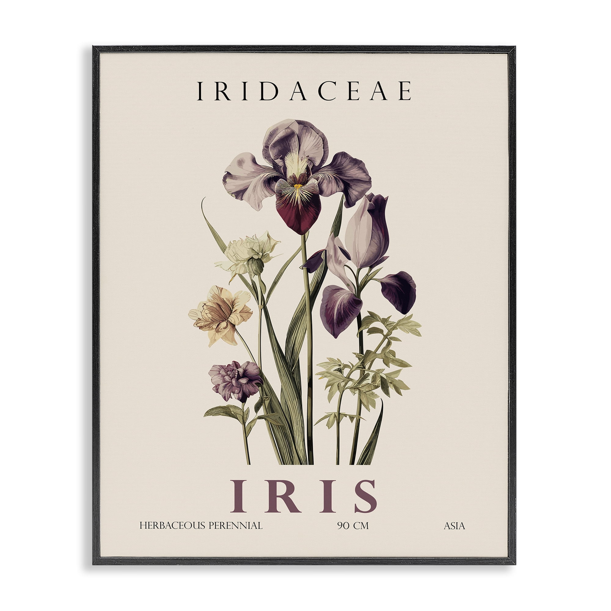 Stupell Industries Natural Iris Bundle Black Framed Giclee Art, design by Christopher Giampietro