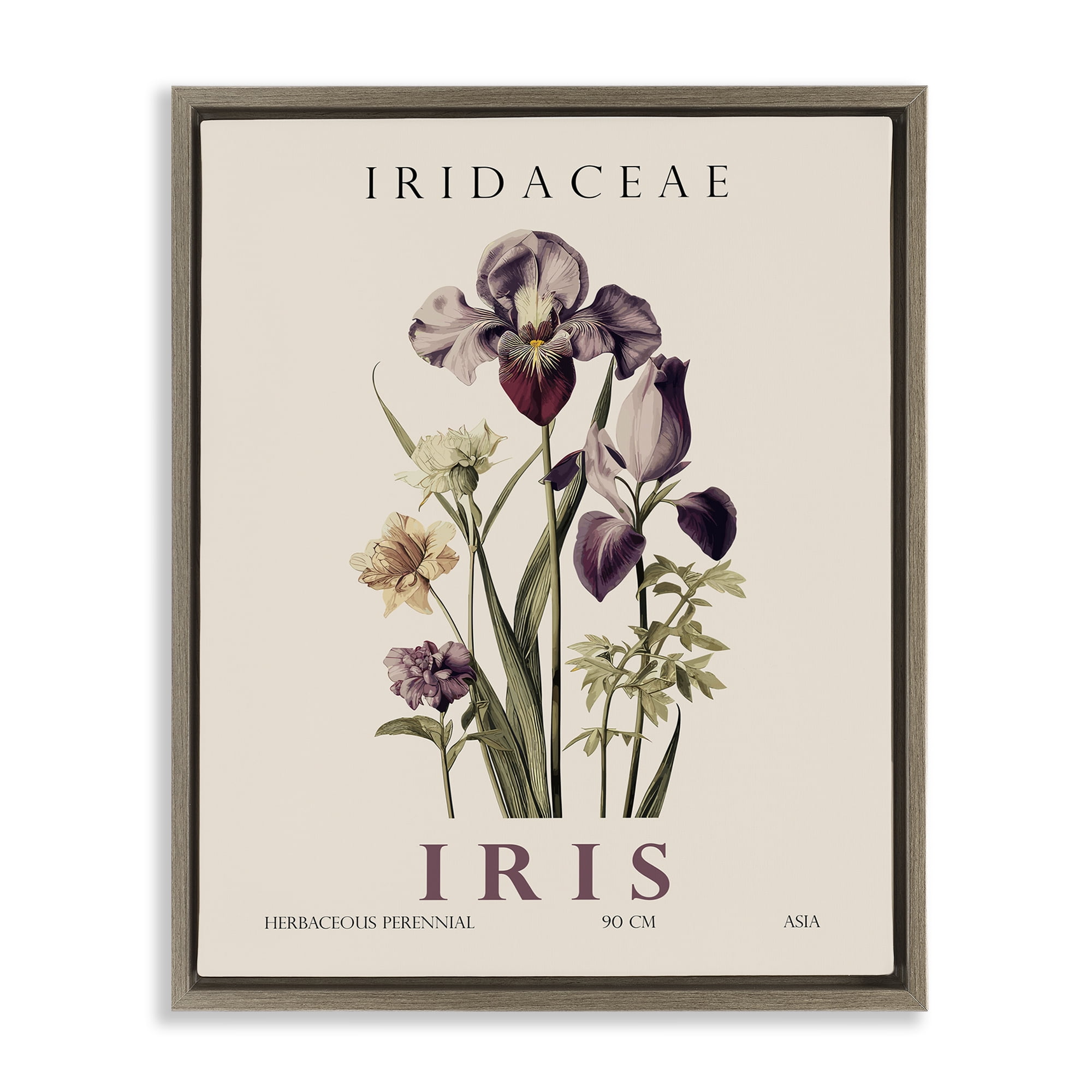 Stupell Industries Natural Iris Bundle Brown Framed Floater Canvas Wall Art, design by Christopher Giampietro
