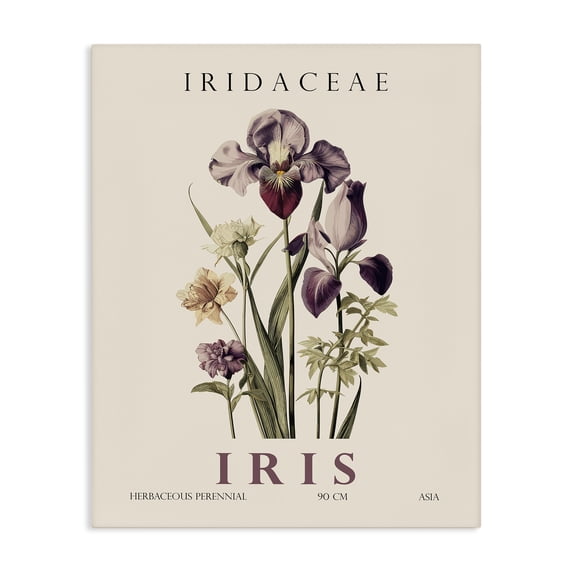Stupell Industries Scandinavian Natural Iris Bundle Canvas Art, 36 x 48, by Christopher Giampietro
