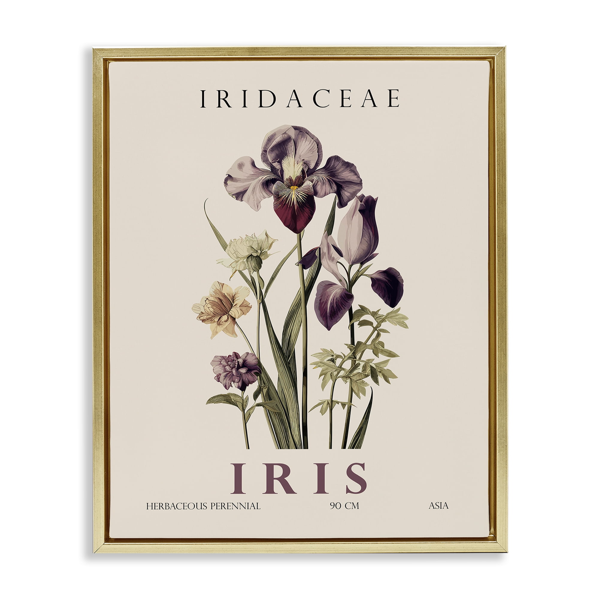 Stupell Industries Natural Iris Bundle Gold Framed Floater Canvas Wall Art, design by Christopher Giampietro
