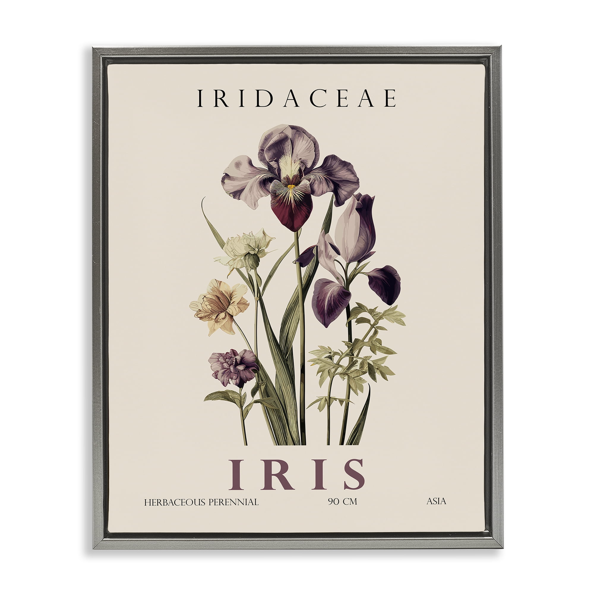 Stupell Industries Natural Iris Bundle Gray Framed Floater Canvas Wall Art, design by Christopher Giampietro