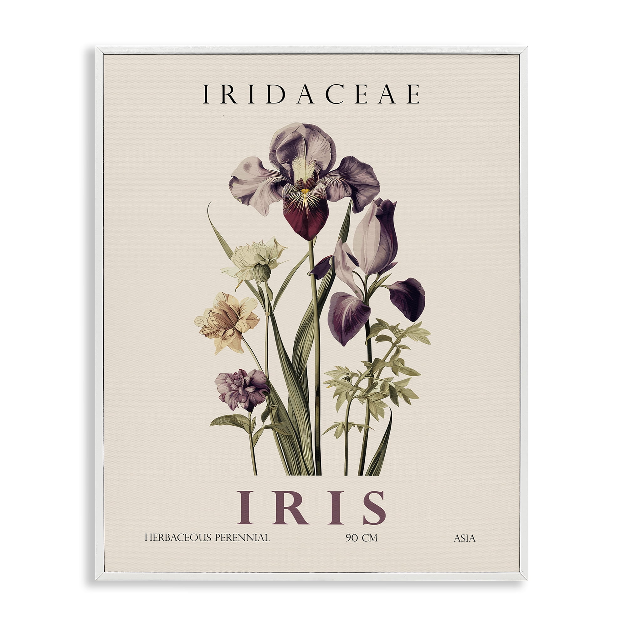 Stupell Industries Natural Iris Bundle White Framed Giclee Art, design by Christopher Giampietro