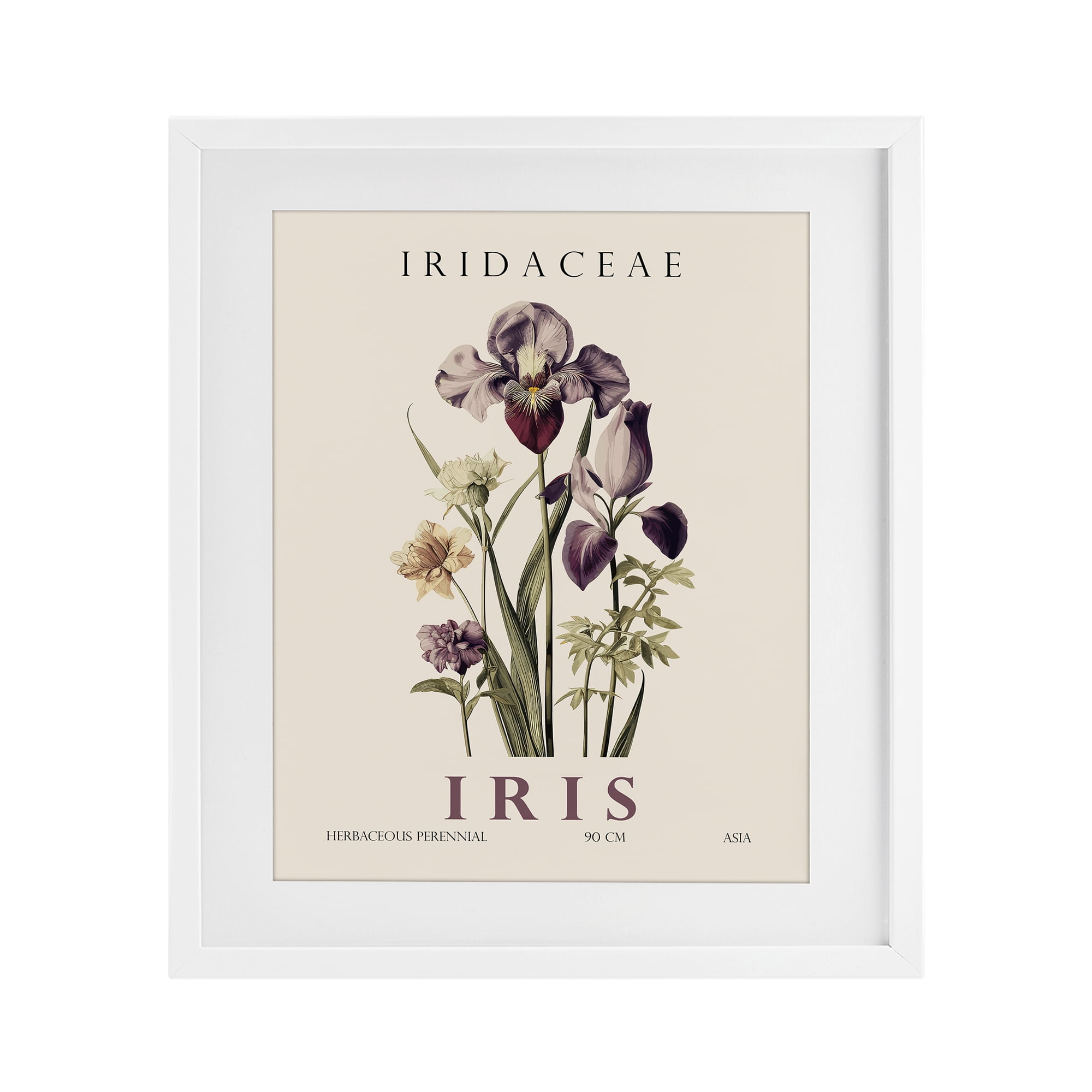 Stupell Industries Natural Iris Bundle White Framed Print Under Glass, design by Christopher Giampietro