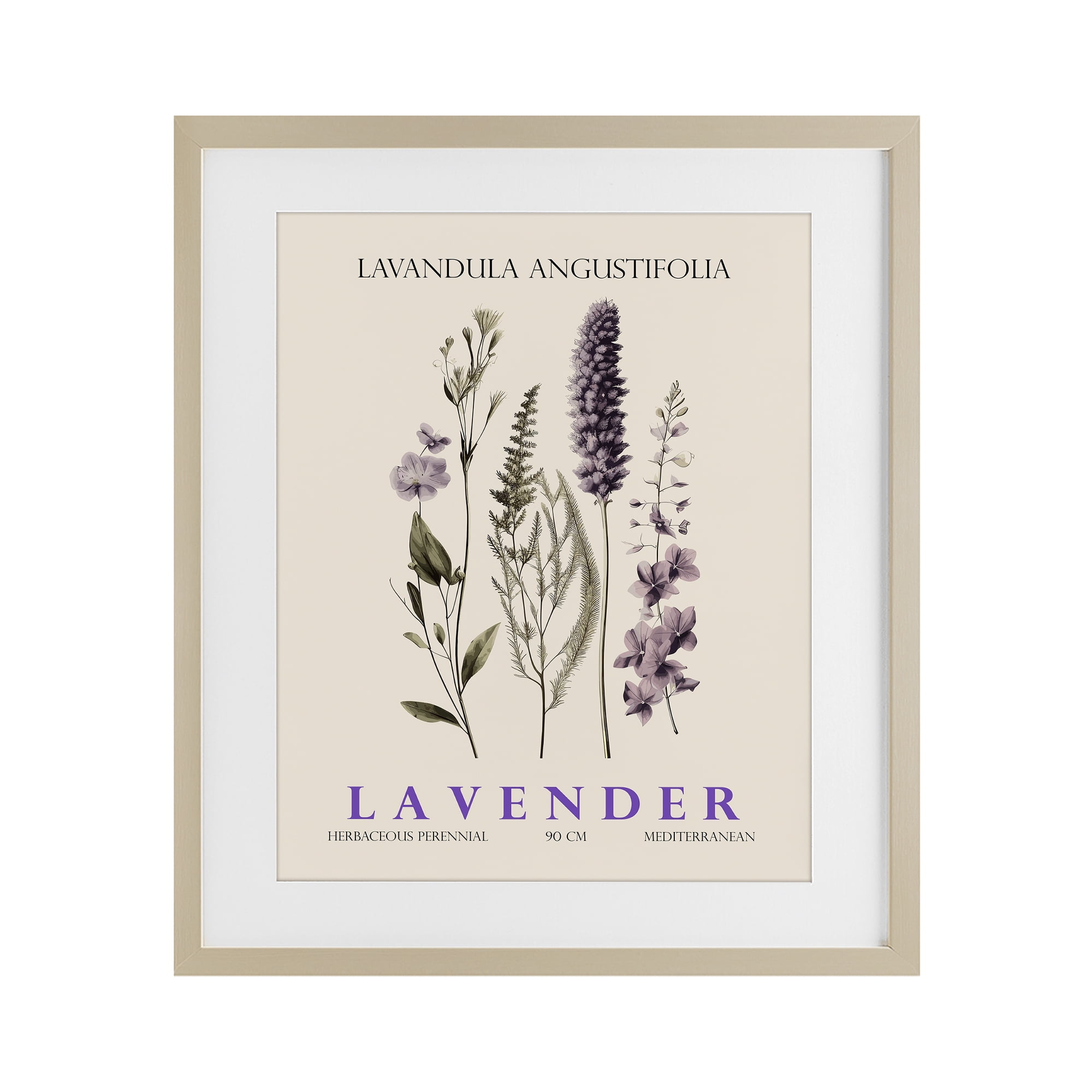 Stupell Industries Natural Lavender Bundle Birch Framed Print Under Glass, design by Christopher Giampietro