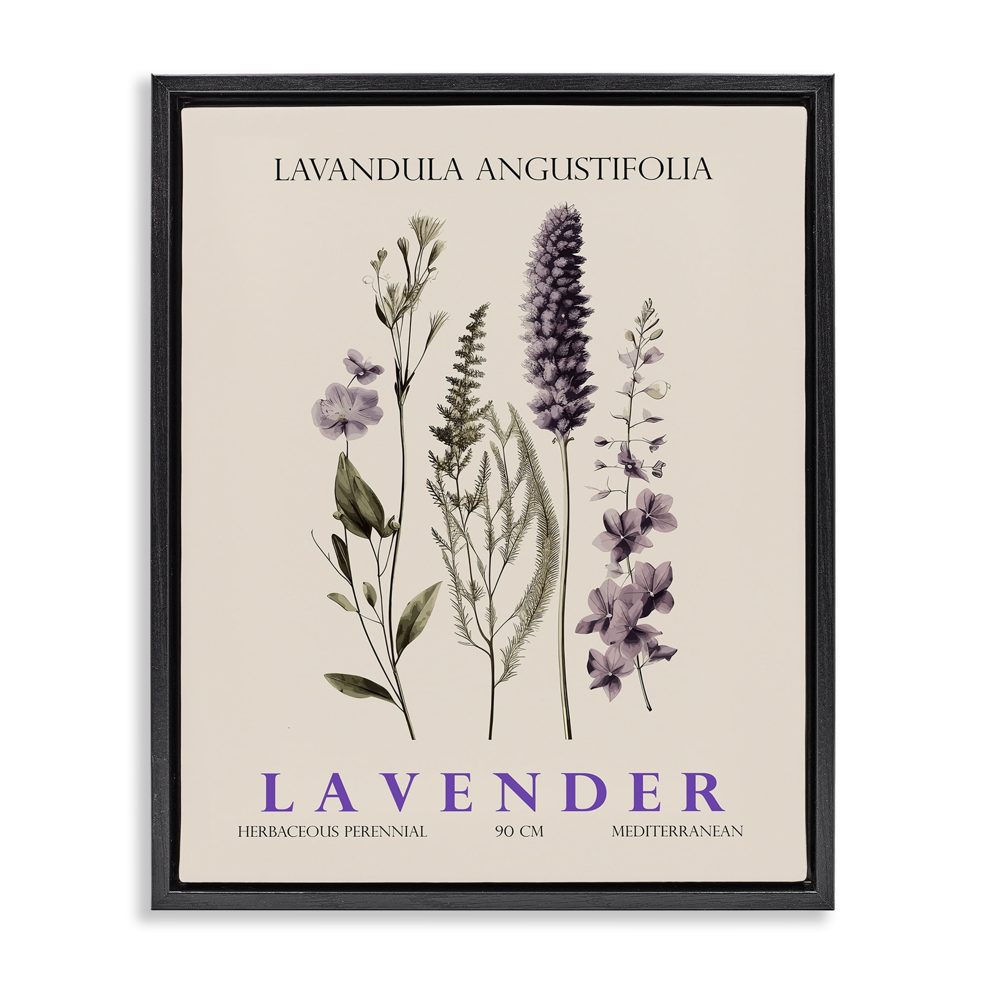 Stupell Industries Natural Lavender Bundle Black Framed Floater Canvas Wall Art, design by Christopher Giampietro