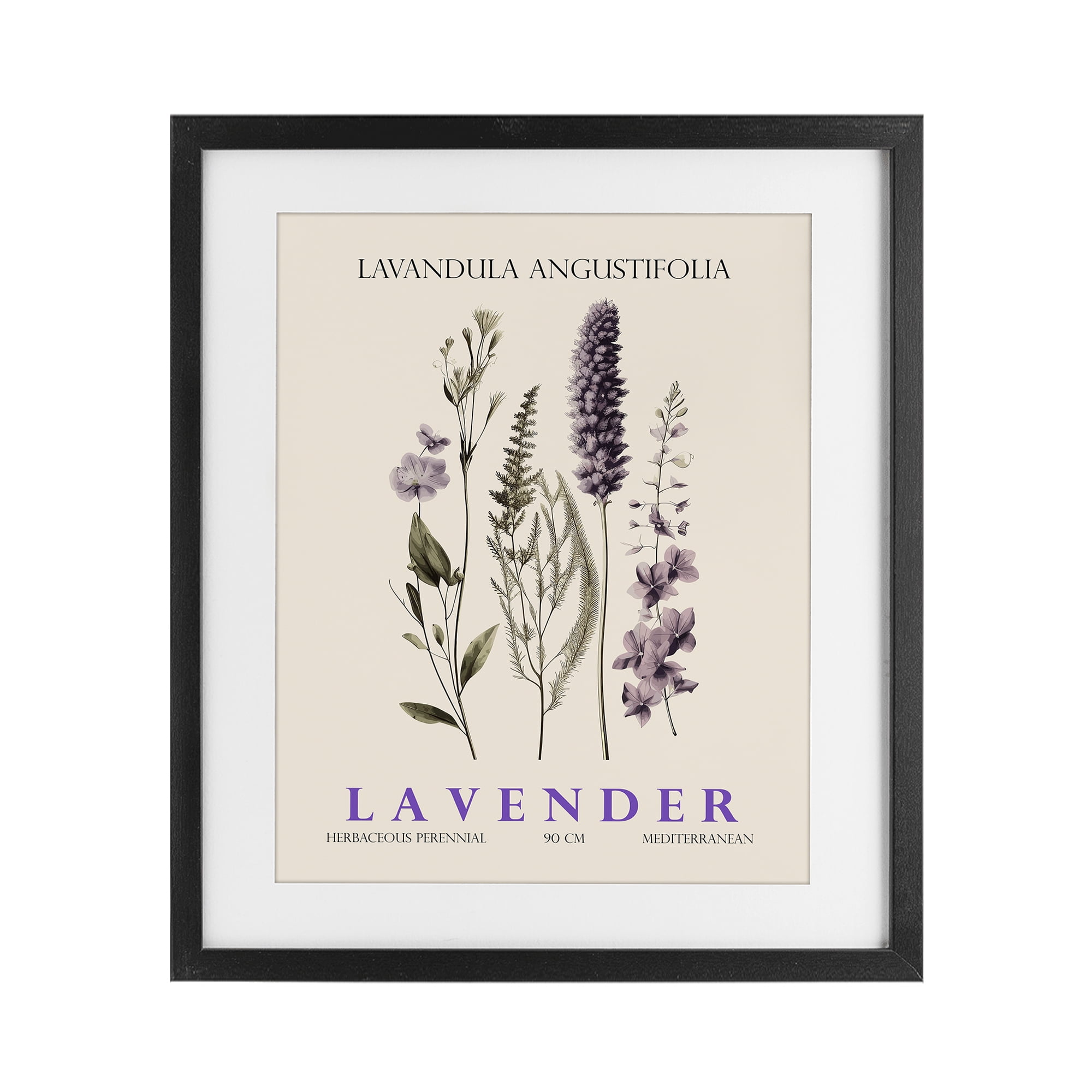 Stupell Industries Natural Lavender Bundle Black Framed Print Under Glass, design by Christopher Giampietro