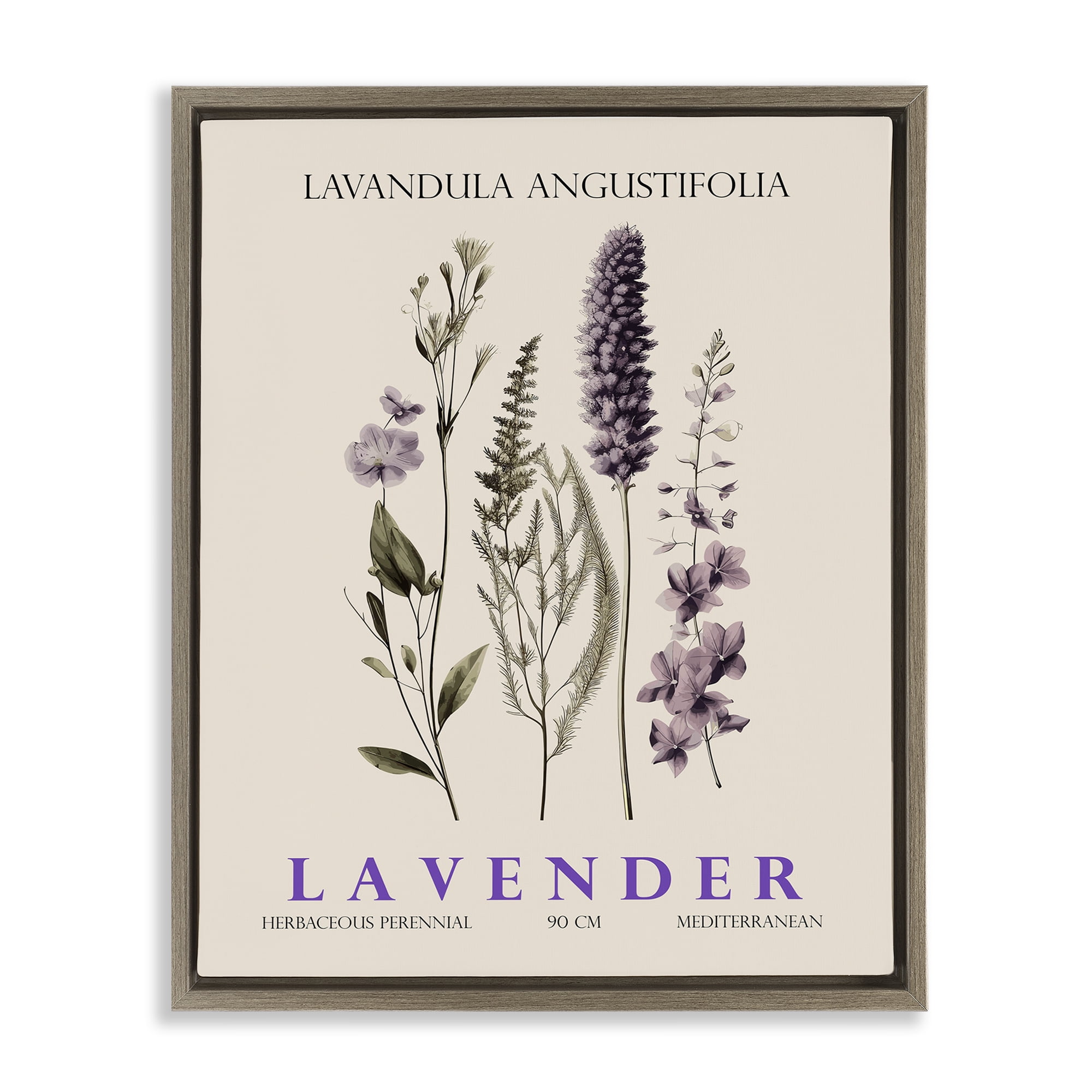 Stupell Industries Natural Lavender Bundle Brown Framed Floater Canvas Wall Art, design by Christopher Giampietro