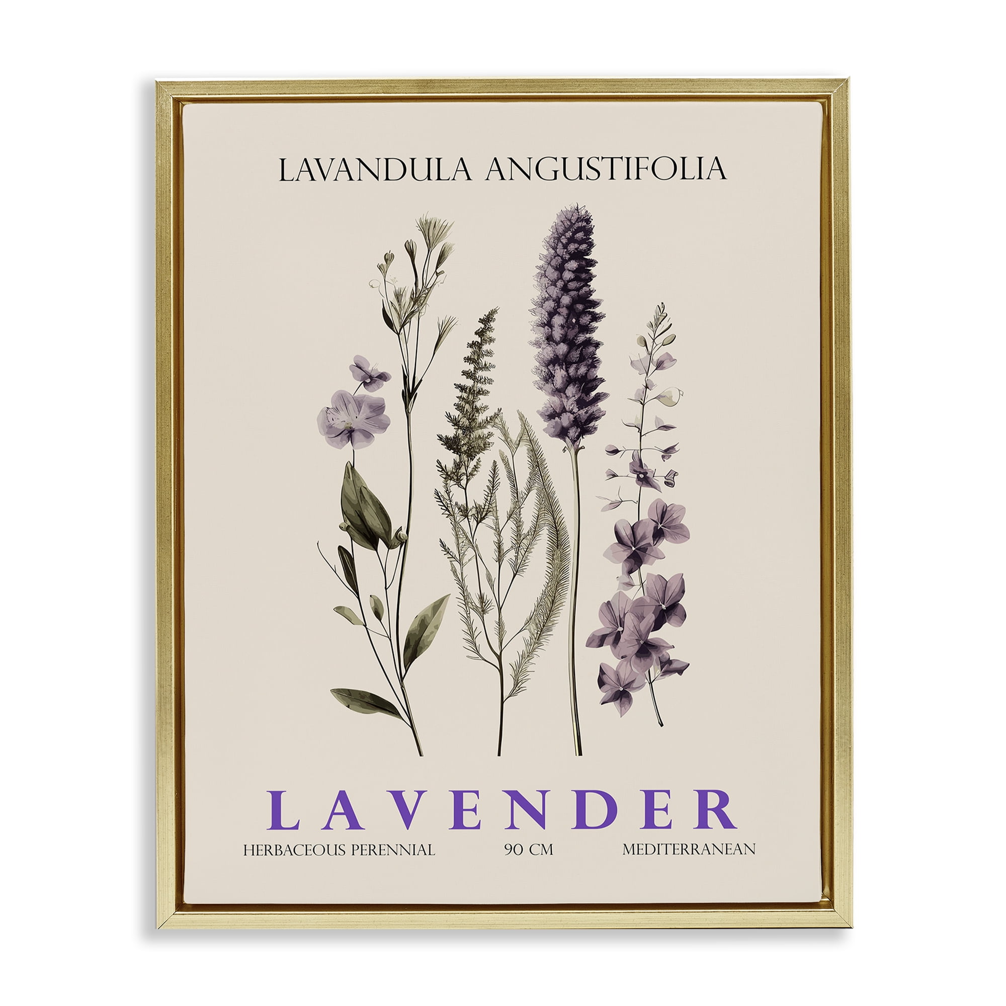 Stupell Industries Natural Lavender Bundle Gold Framed Floater Canvas Wall Art, design by Christopher Giampietro