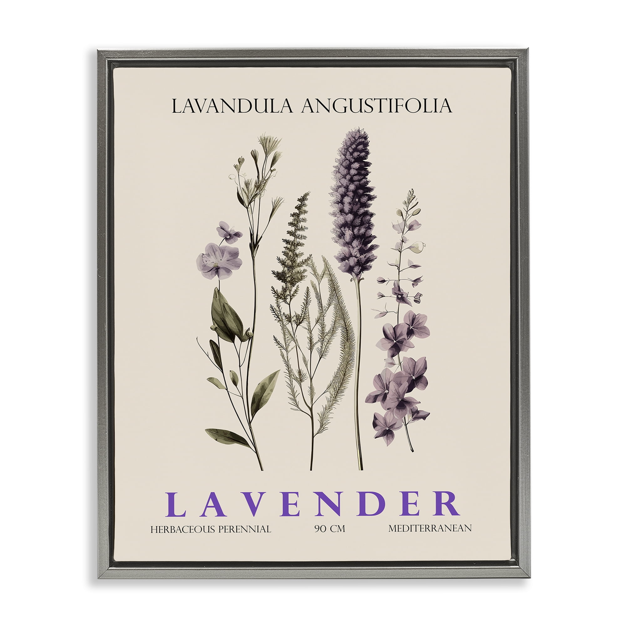Stupell Industries Natural Lavender Bundle Gray Framed Floater Canvas Wall Art, design by Christopher Giampietro