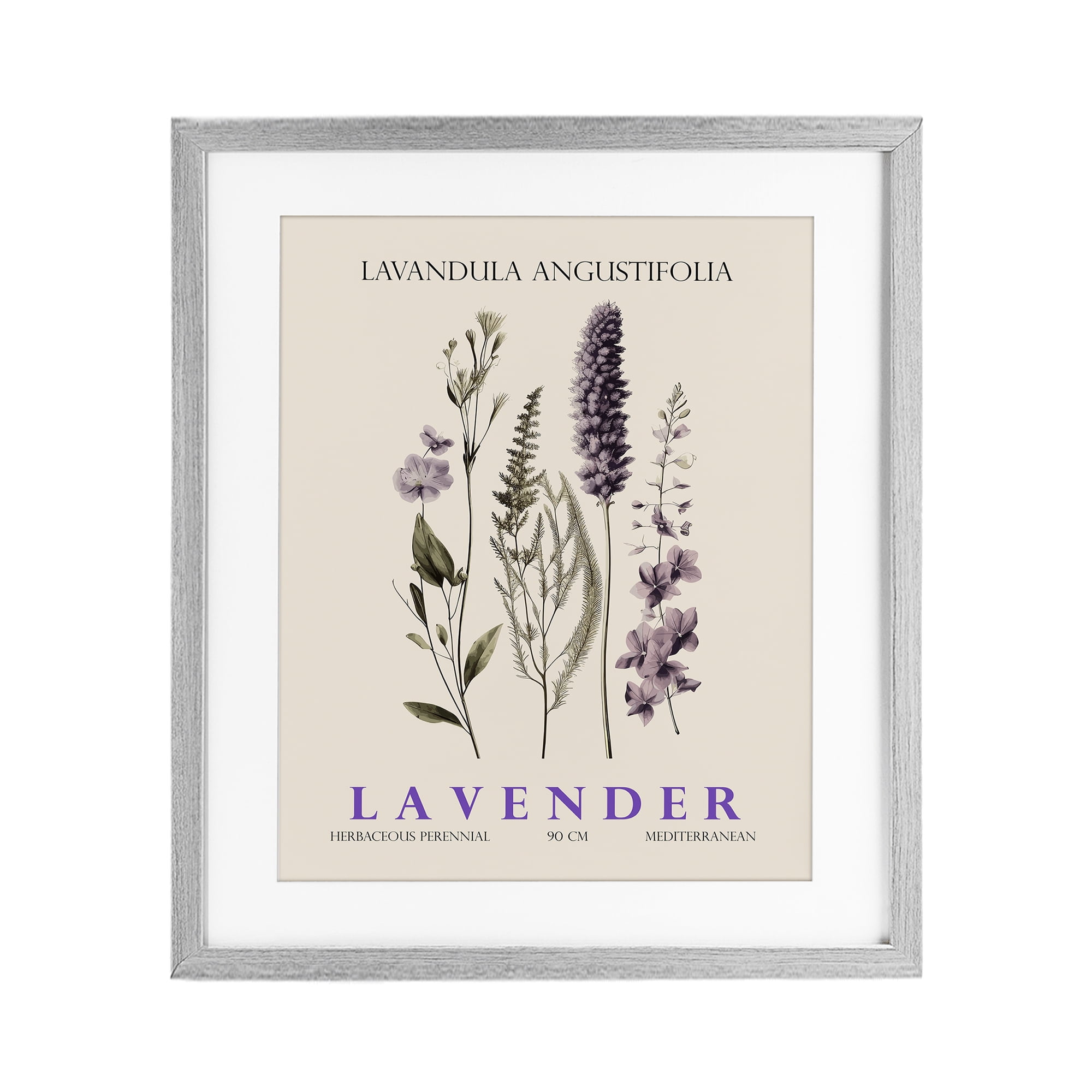 Stupell Industries Natural Lavender Bundle Gray Framed Print Under Glass, design by Christopher Giampietro