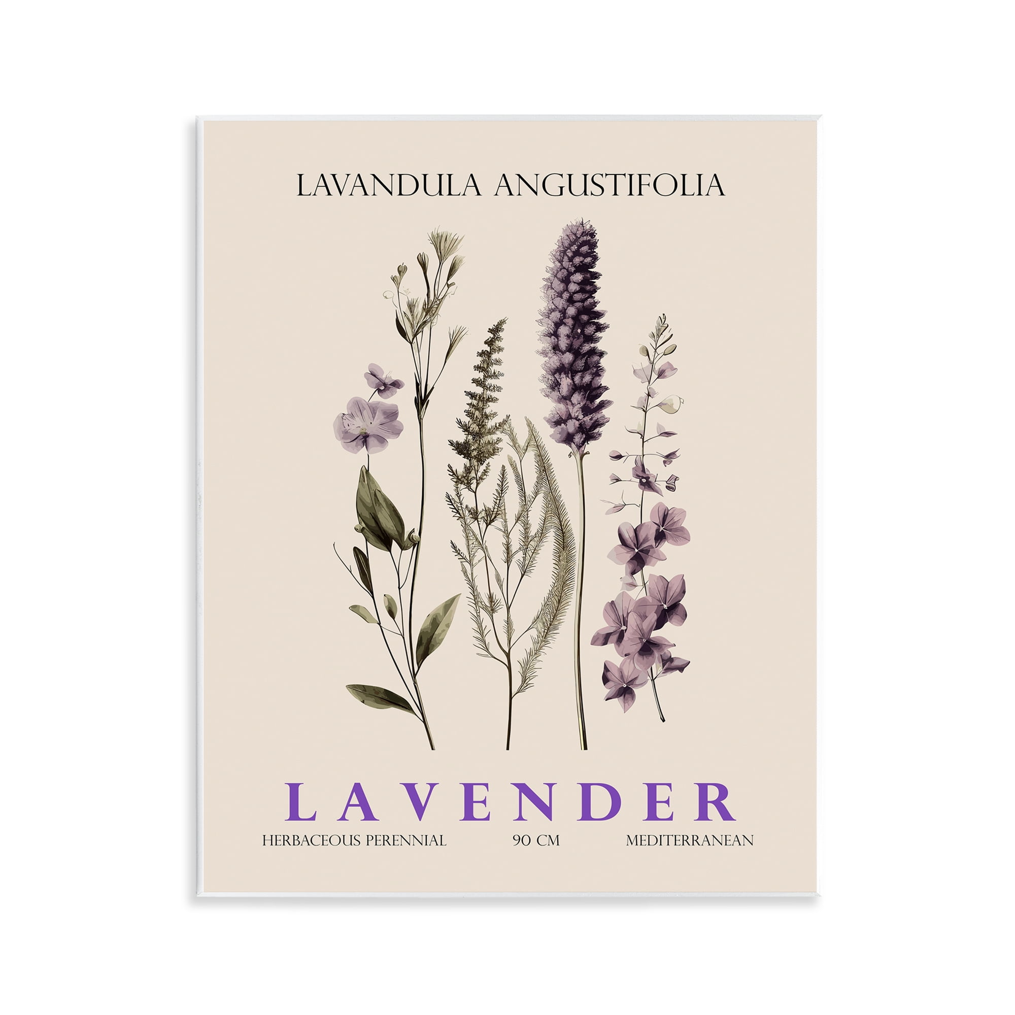 Stupell Industries Natural Lavender Bundle Wall Plaque Art, design by Christopher Giampietro