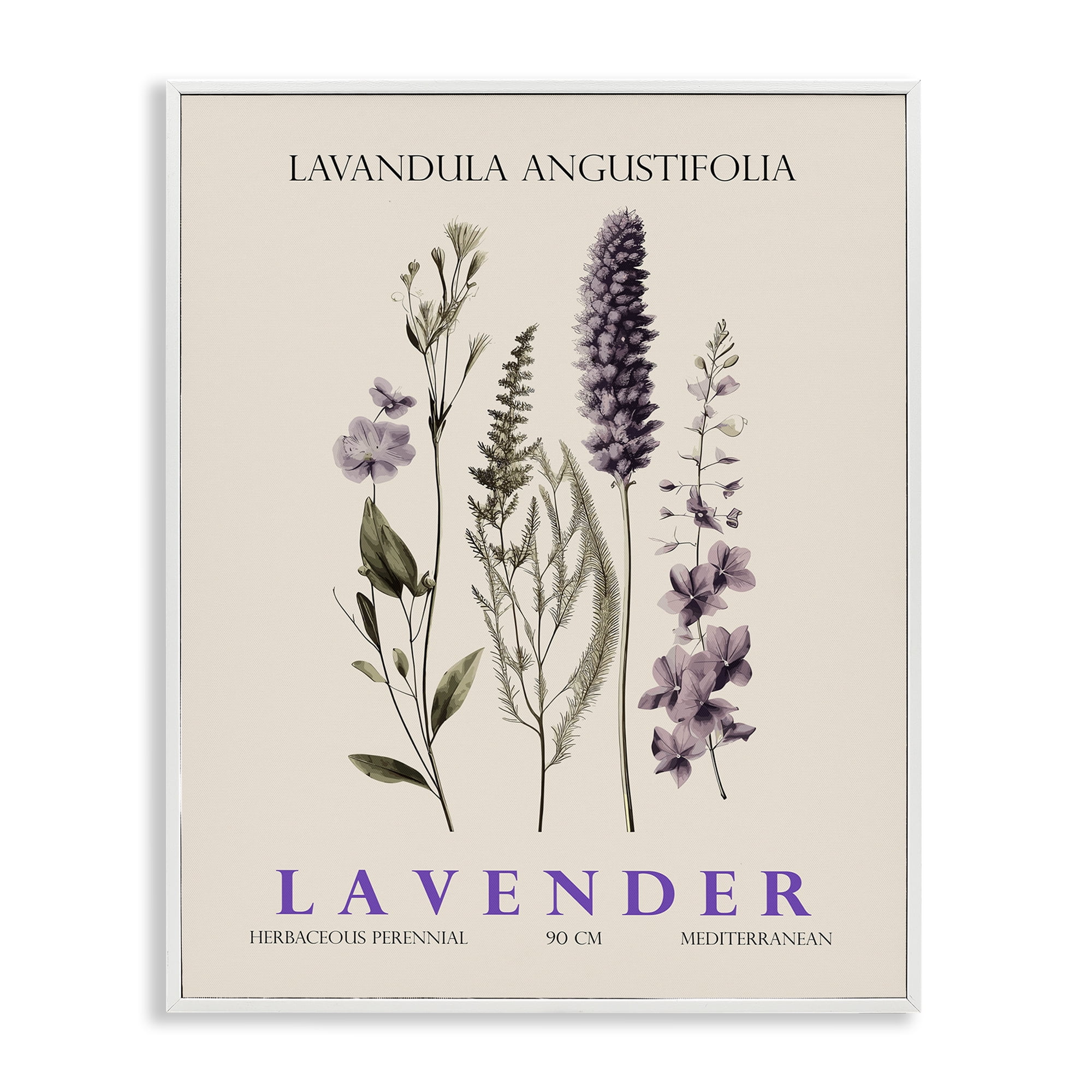 Stupell Industries Natural Lavender Bundle White Framed Giclee Art, design by Christopher Giampietro